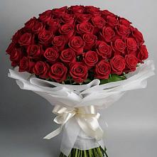 Букет 101 Красная роза Блэк Мэджик в Черском