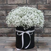 Цветочная композиция из Гипсофила в шляпной коробке в Черском