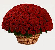 Премиум букет из: Розы в Черском